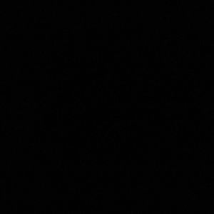 Meet your Posher, Shy